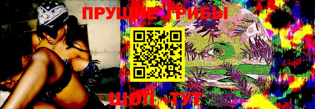 Псилоцибиновые грибы ЛСД Луга