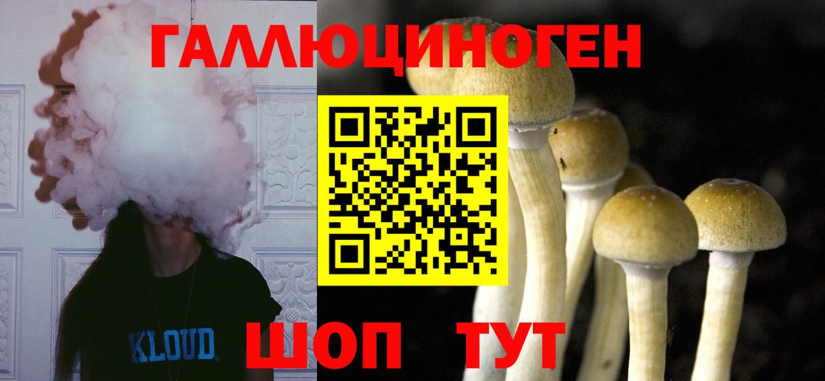  Cocaine Луга